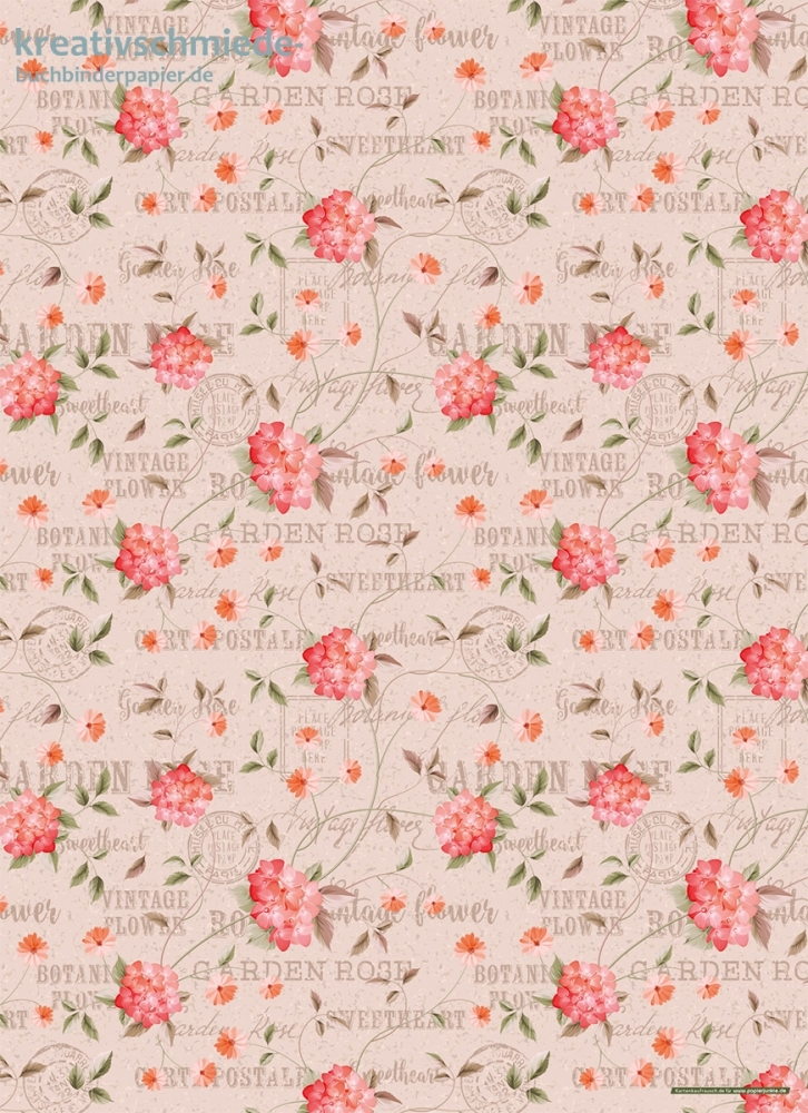 Geschenkpapier Garden Rose auf Rosa