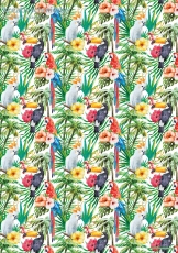 Geschenkpapier Papagei, Tucan, Kakadu (R*)