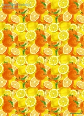 Geschenkpapier Orangen & Zitronen