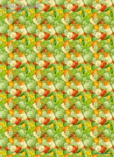 Geschenkpapier Gemse & Salat