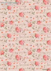 Geschenkpapier Garden Rose auf Rosa